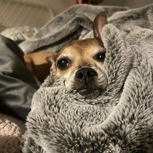 Meet your Posher, Olivia